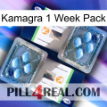 Kamagra 1 Week Pack viagra5